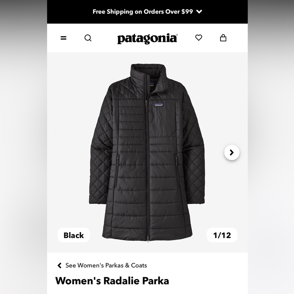 Patagonia Jacket